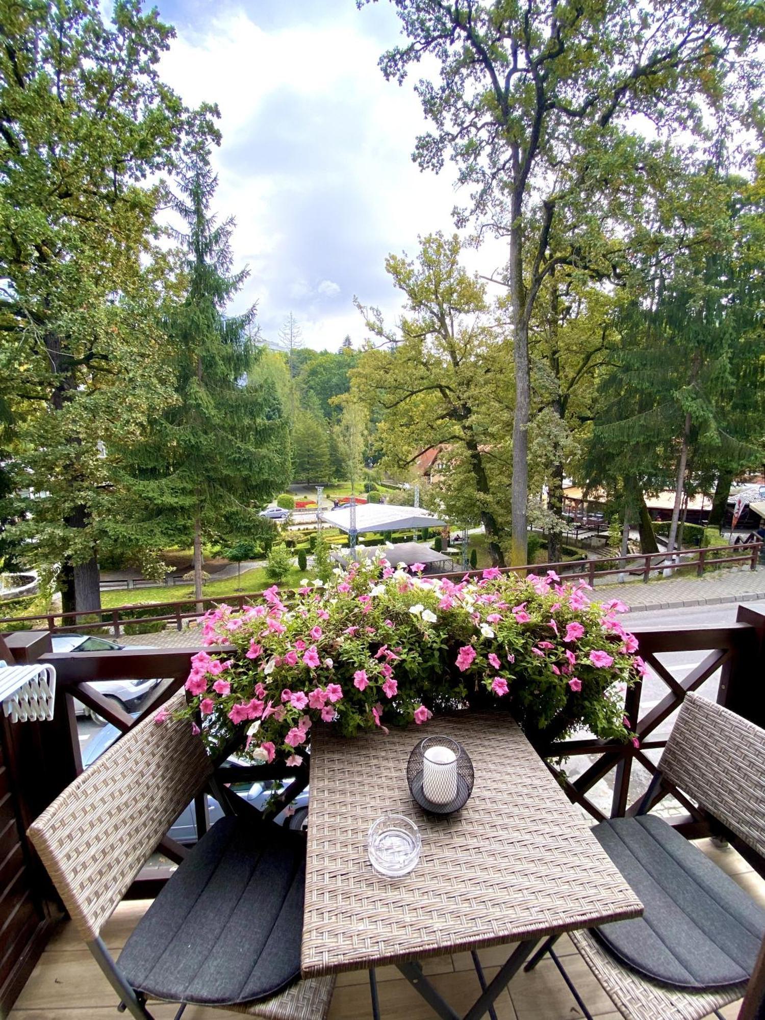 Amethyst Bed and Breakfast Sovata Eksteriør billede